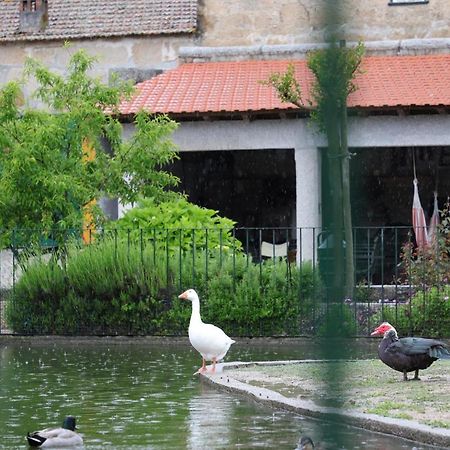 Vila Quinta Dos Patos Pinhanços Exteriér fotografie