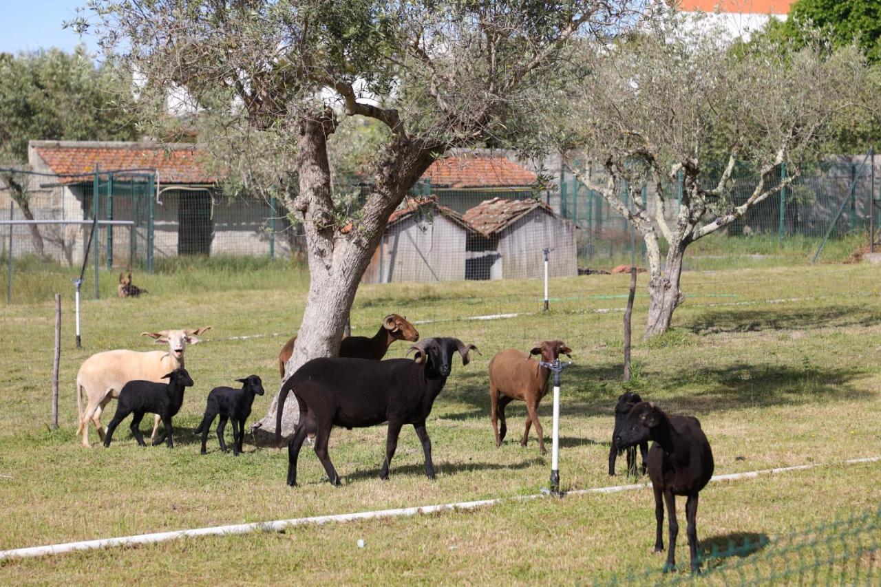 Vila Quinta Dos Patos Pinhanços Exteriér fotografie